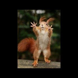 Meet your Posher, Victor